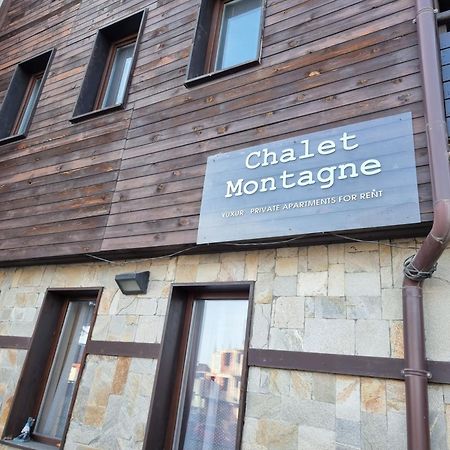 Chalet Montagne Bansko Apartment Εξωτερικό φωτογραφία